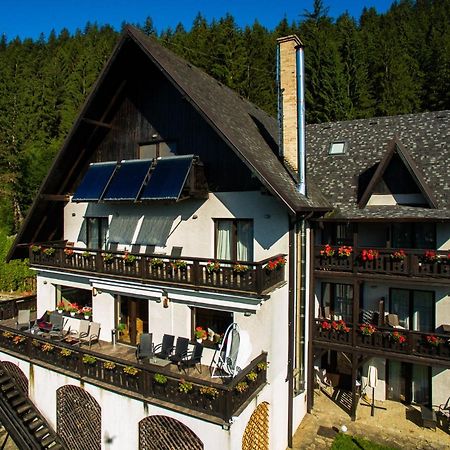 Bucovina Lodge Pension バマ エクステリア 写真