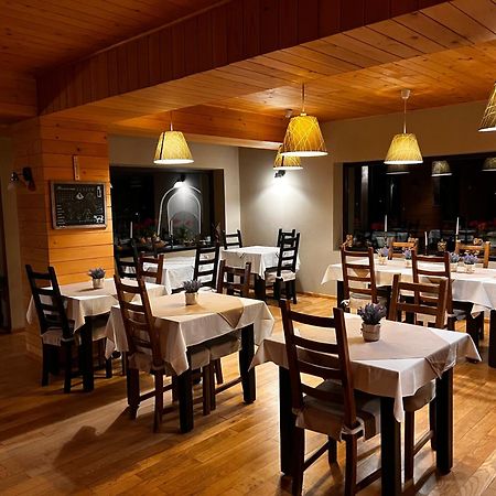 Bucovina Lodge Pension バマ エクステリア 写真