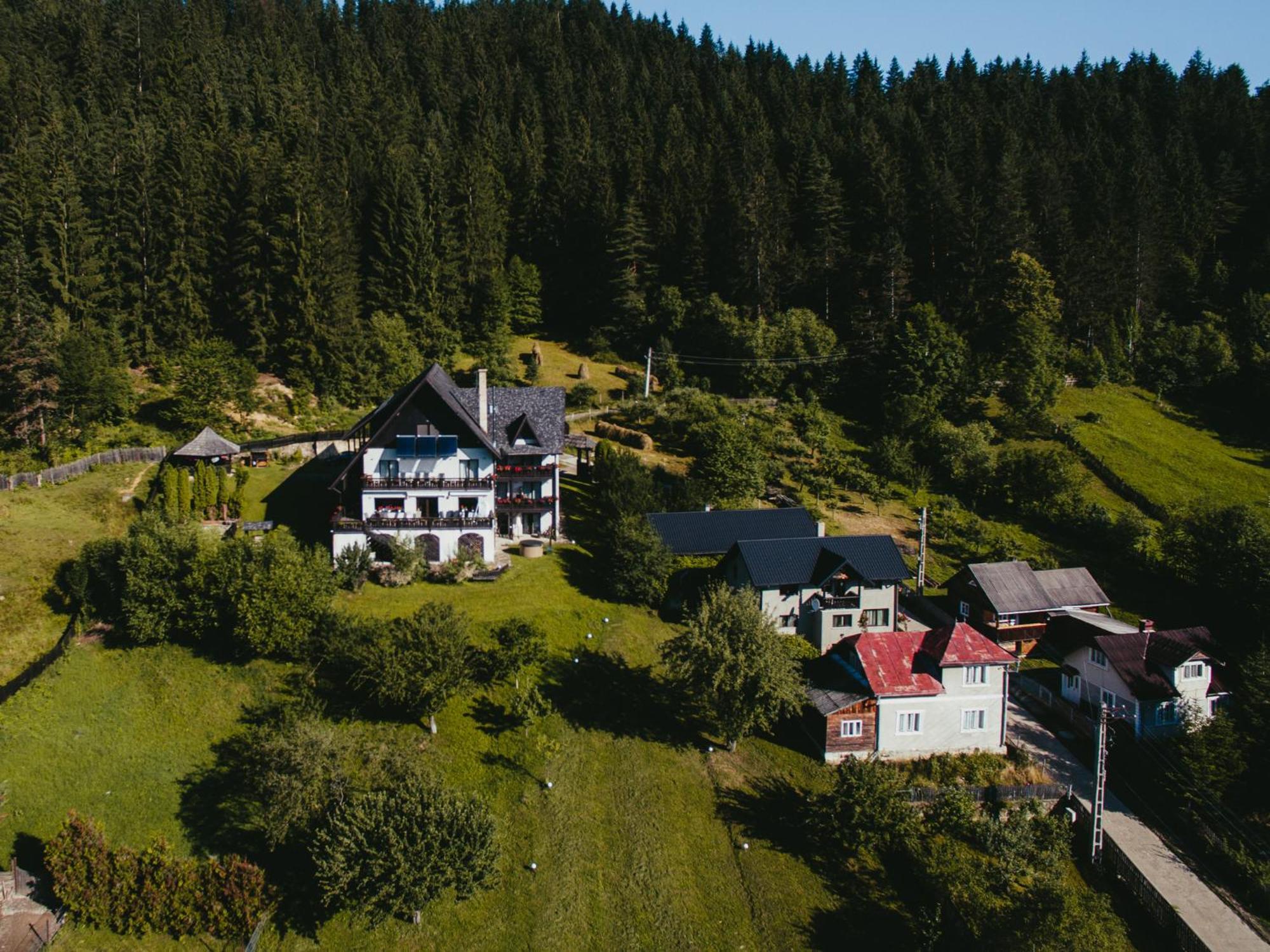 Bucovina Lodge Pension バマ エクステリア 写真