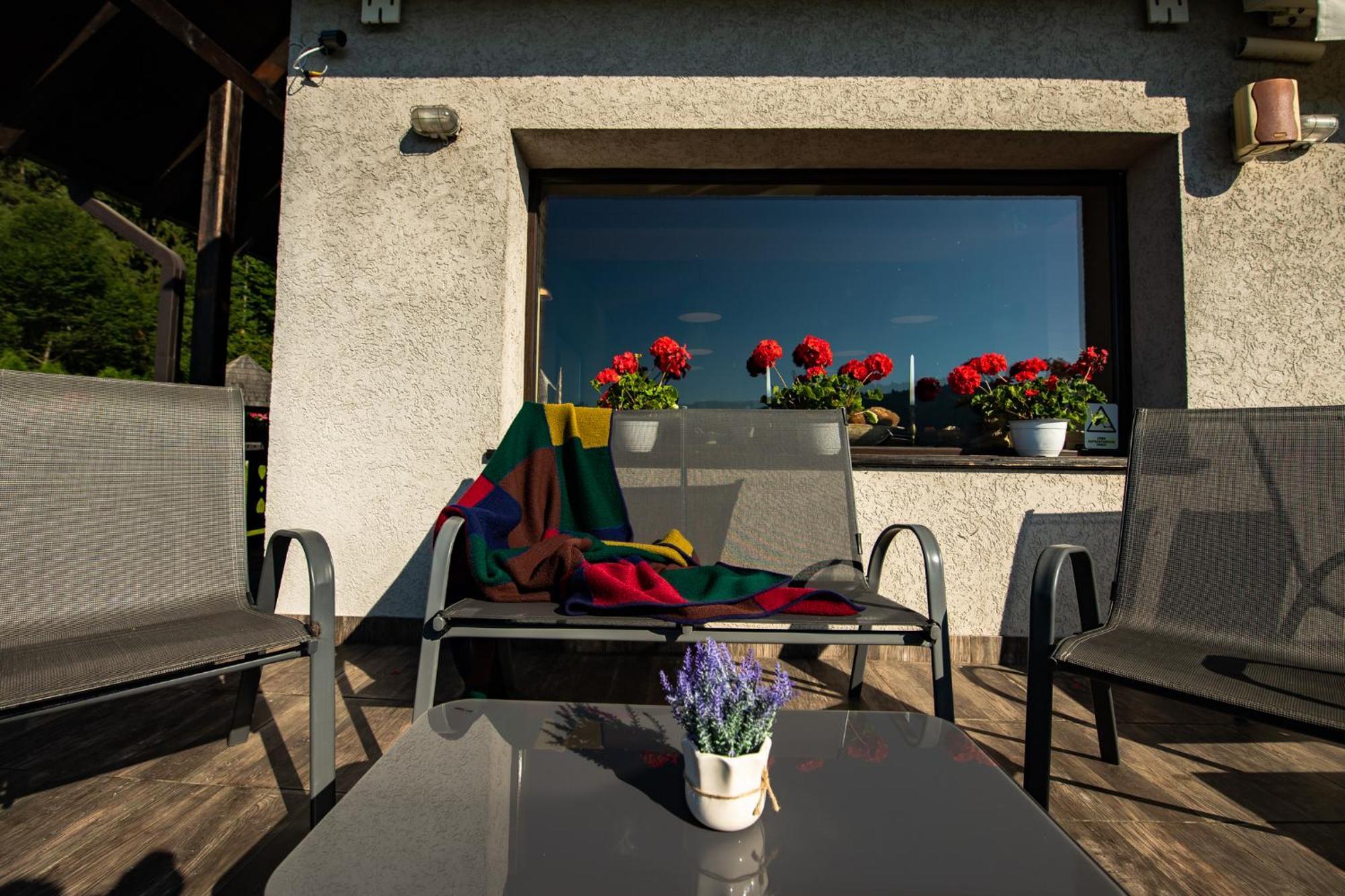 Bucovina Lodge Pension バマ エクステリア 写真
