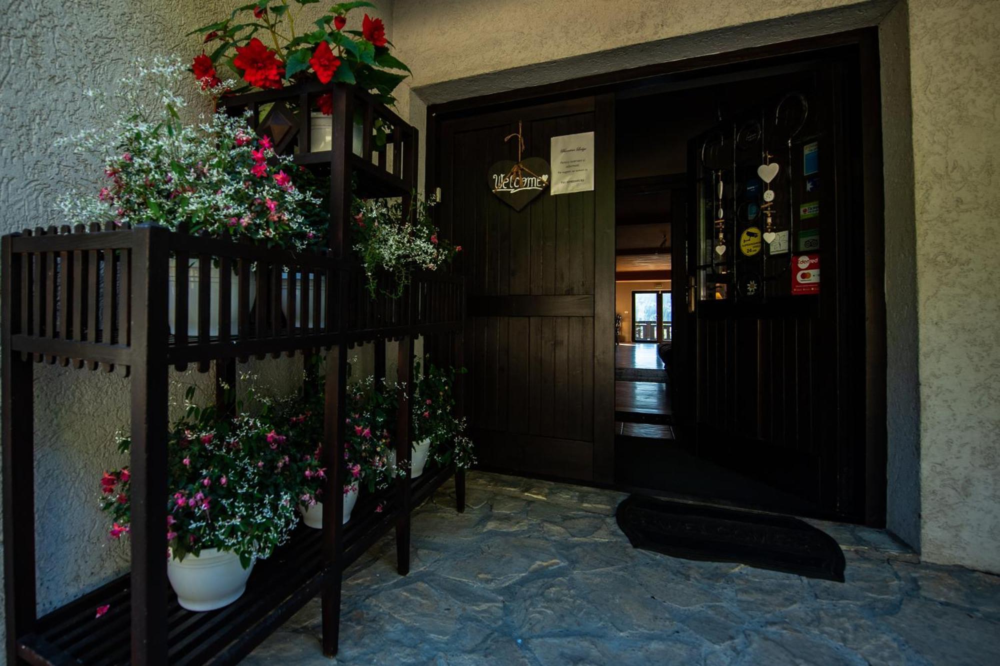 Bucovina Lodge Pension バマ エクステリア 写真