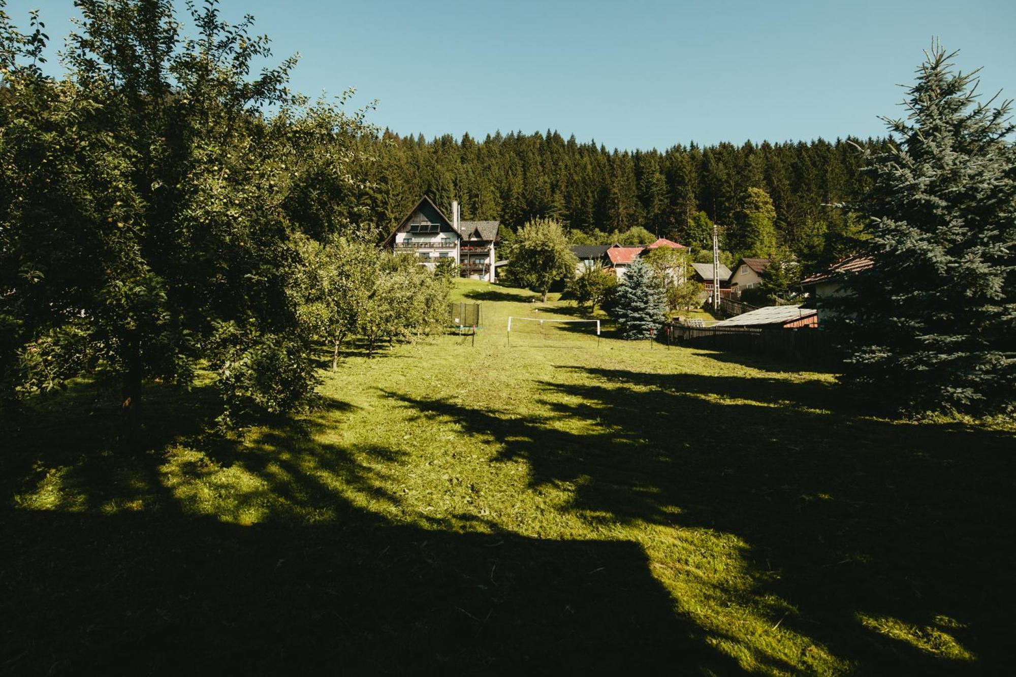 Bucovina Lodge Pension バマ エクステリア 写真