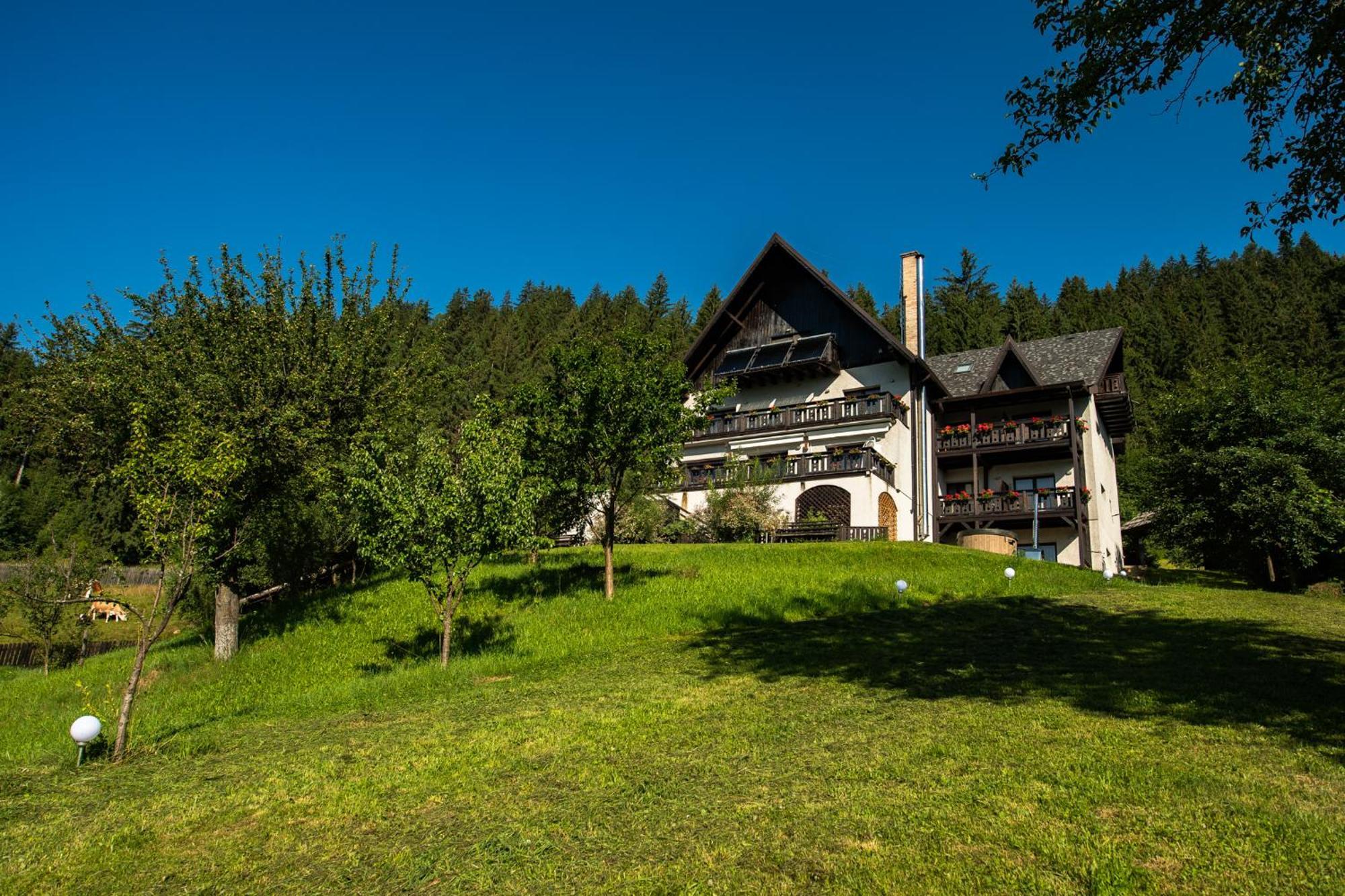 Bucovina Lodge Pension バマ エクステリア 写真