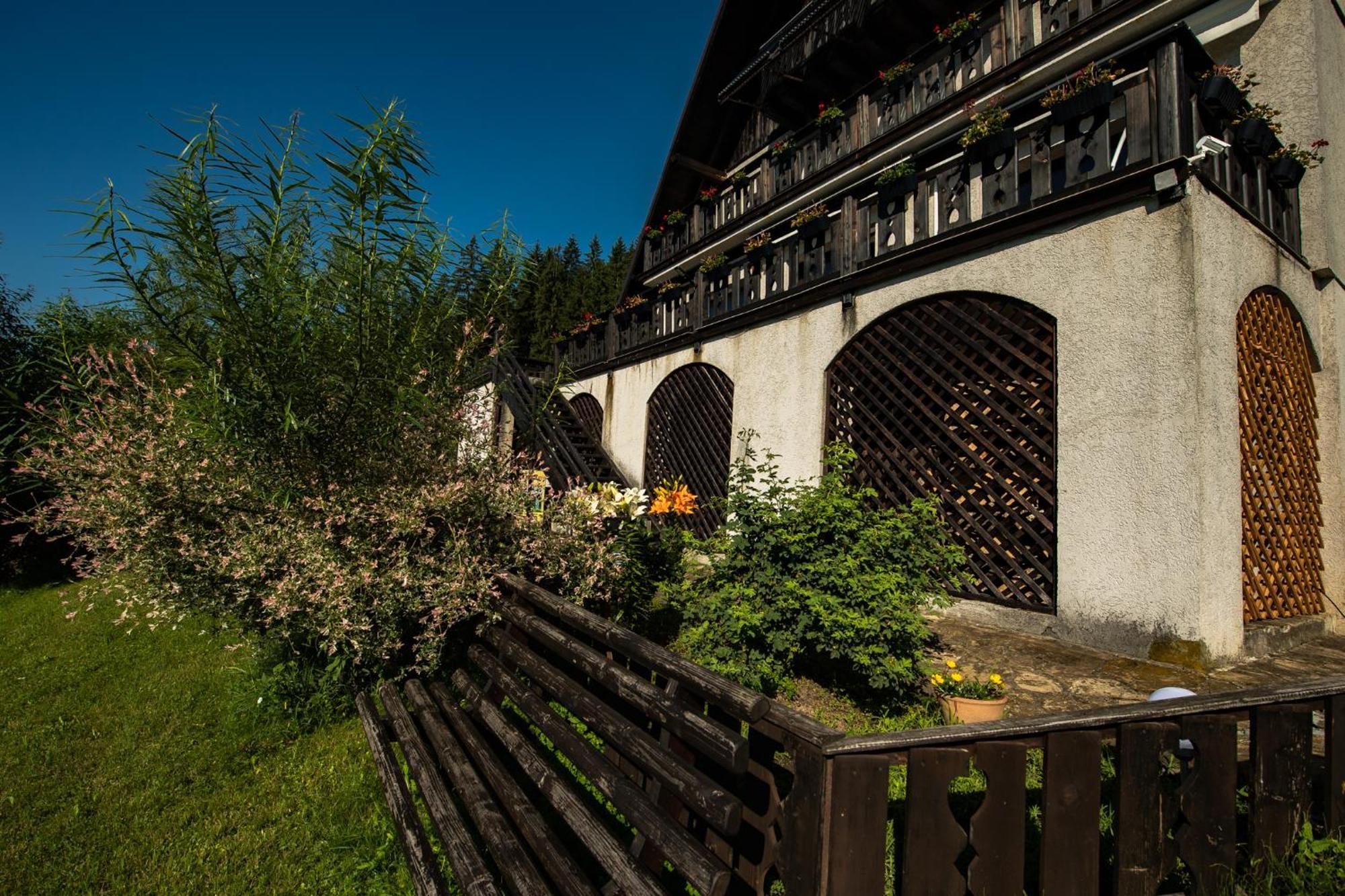 Bucovina Lodge Pension バマ エクステリア 写真