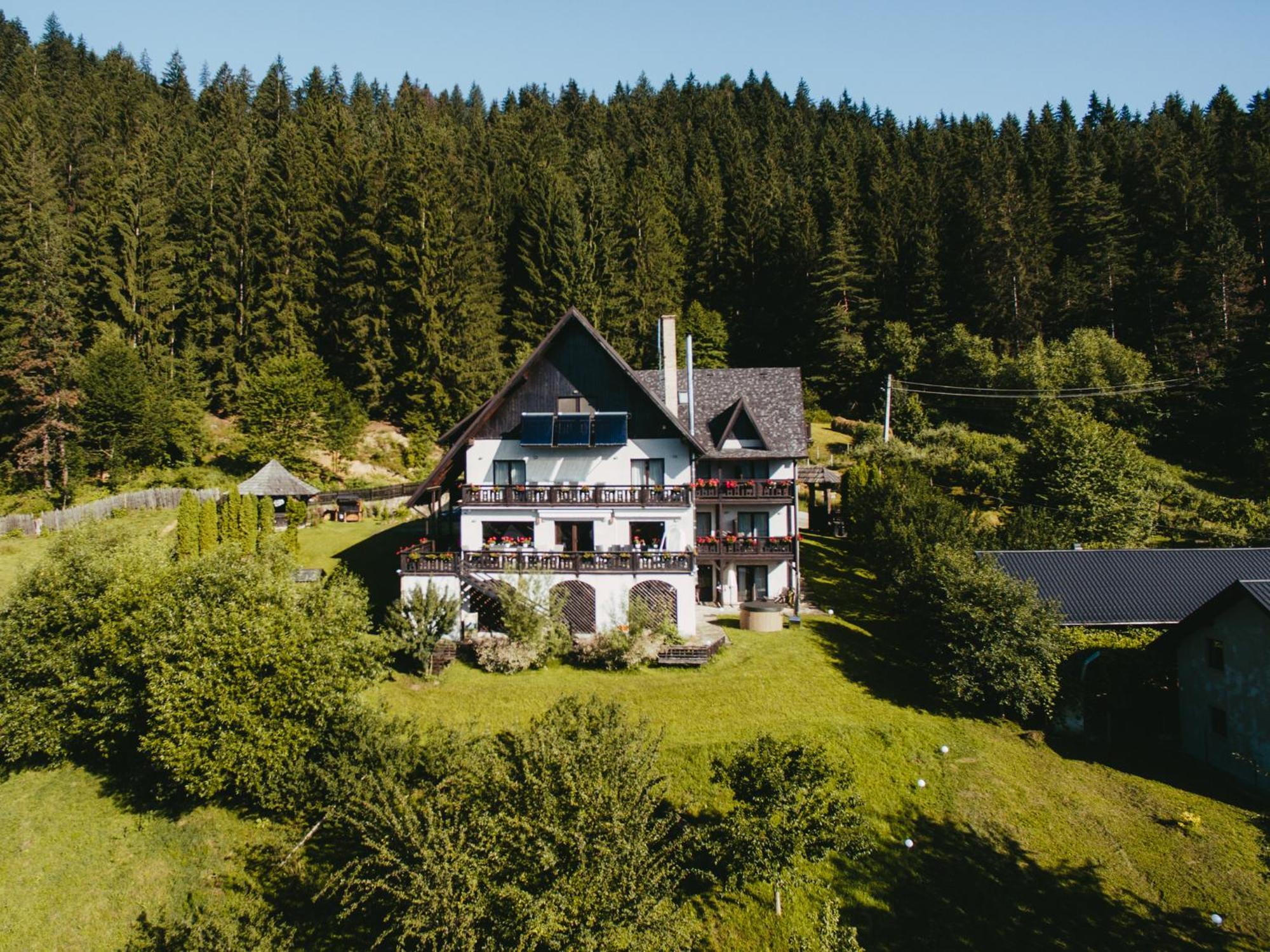 Bucovina Lodge Pension バマ エクステリア 写真