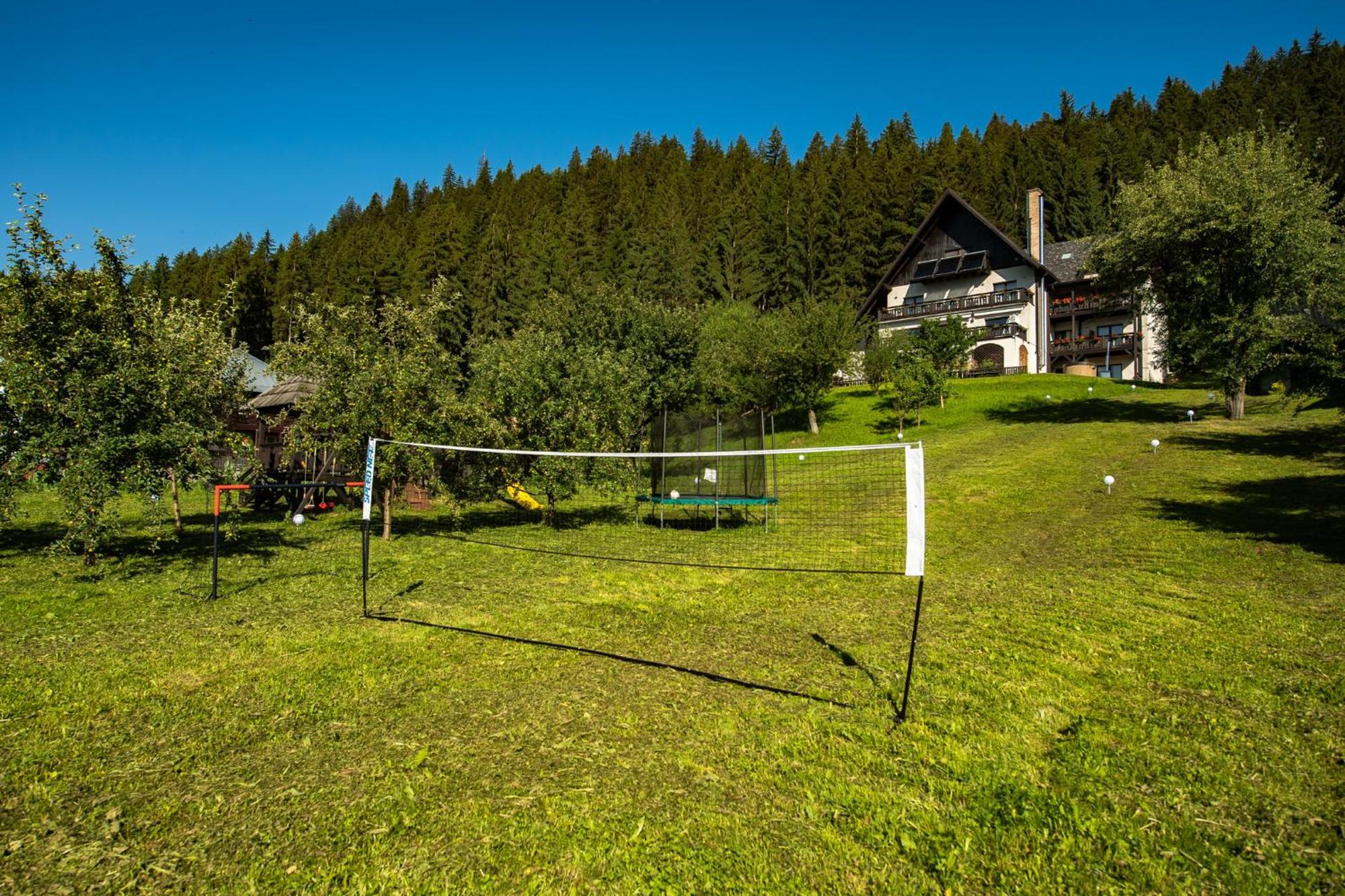 Bucovina Lodge Pension バマ エクステリア 写真
