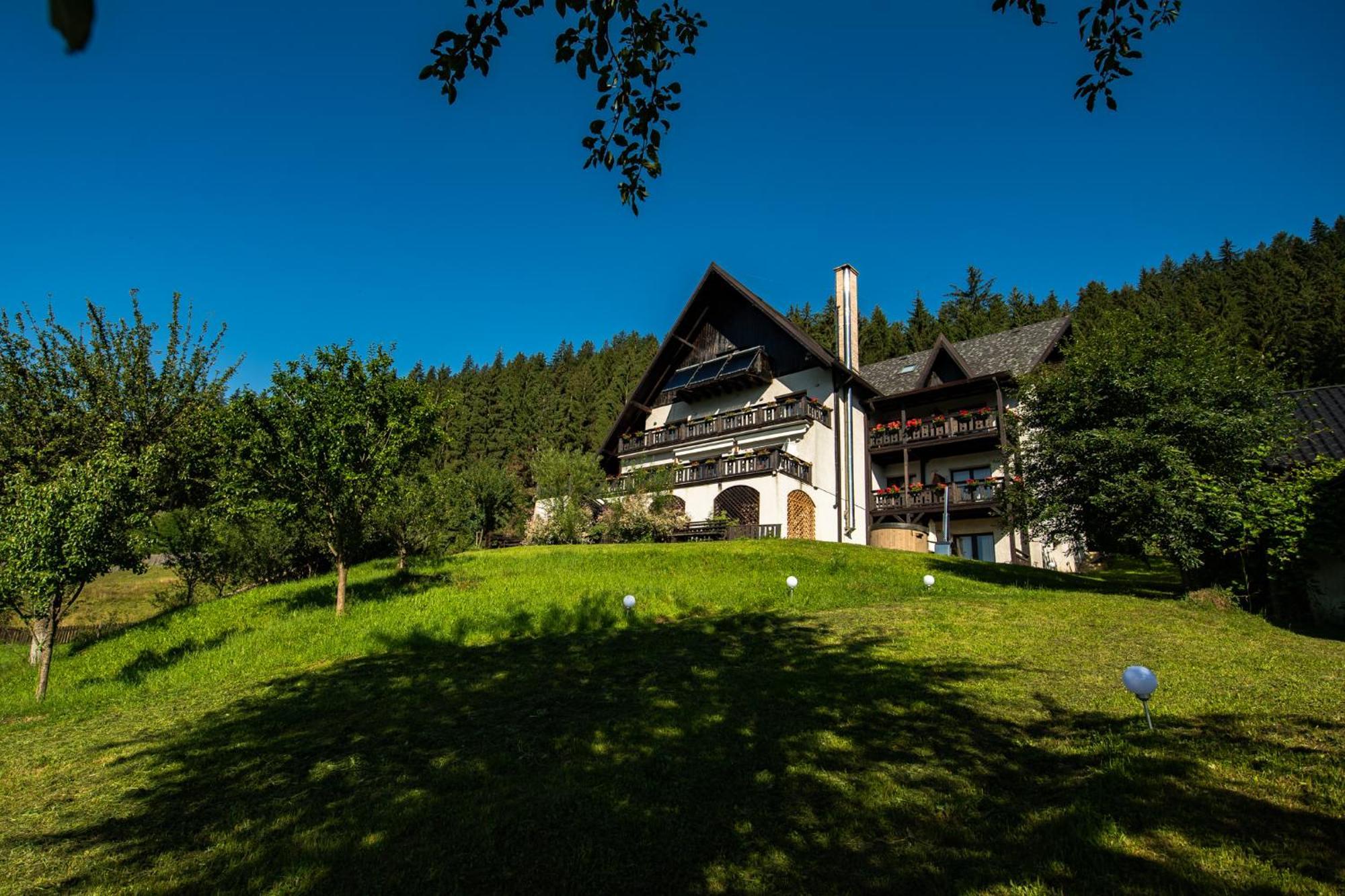 Bucovina Lodge Pension バマ エクステリア 写真