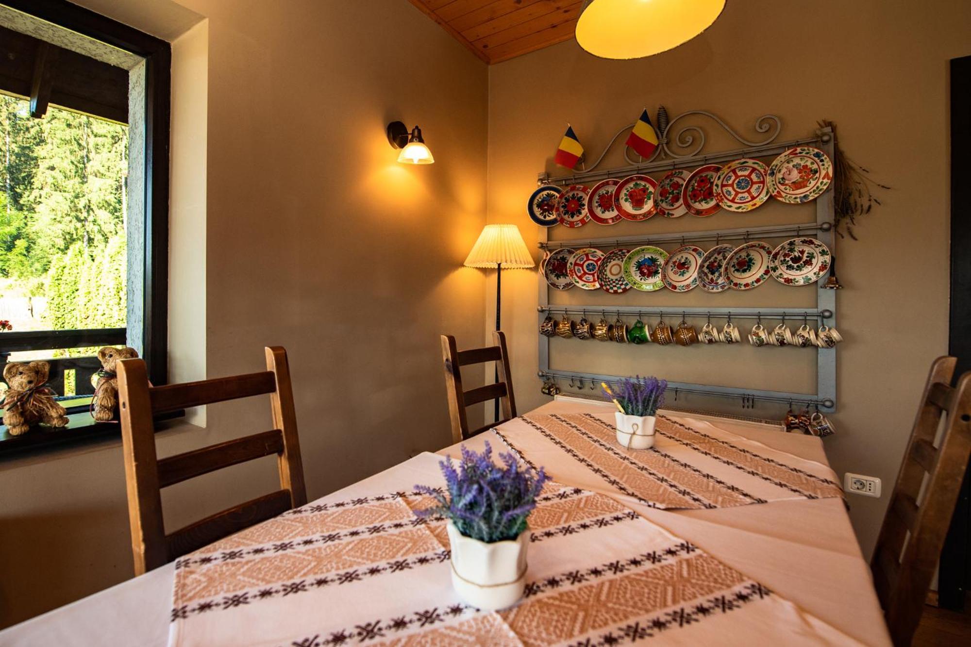 Bucovina Lodge Pension バマ エクステリア 写真