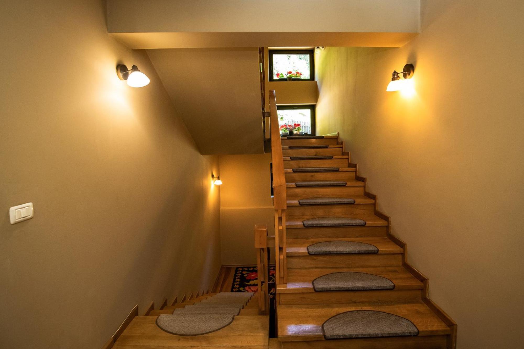 Bucovina Lodge Pension バマ エクステリア 写真