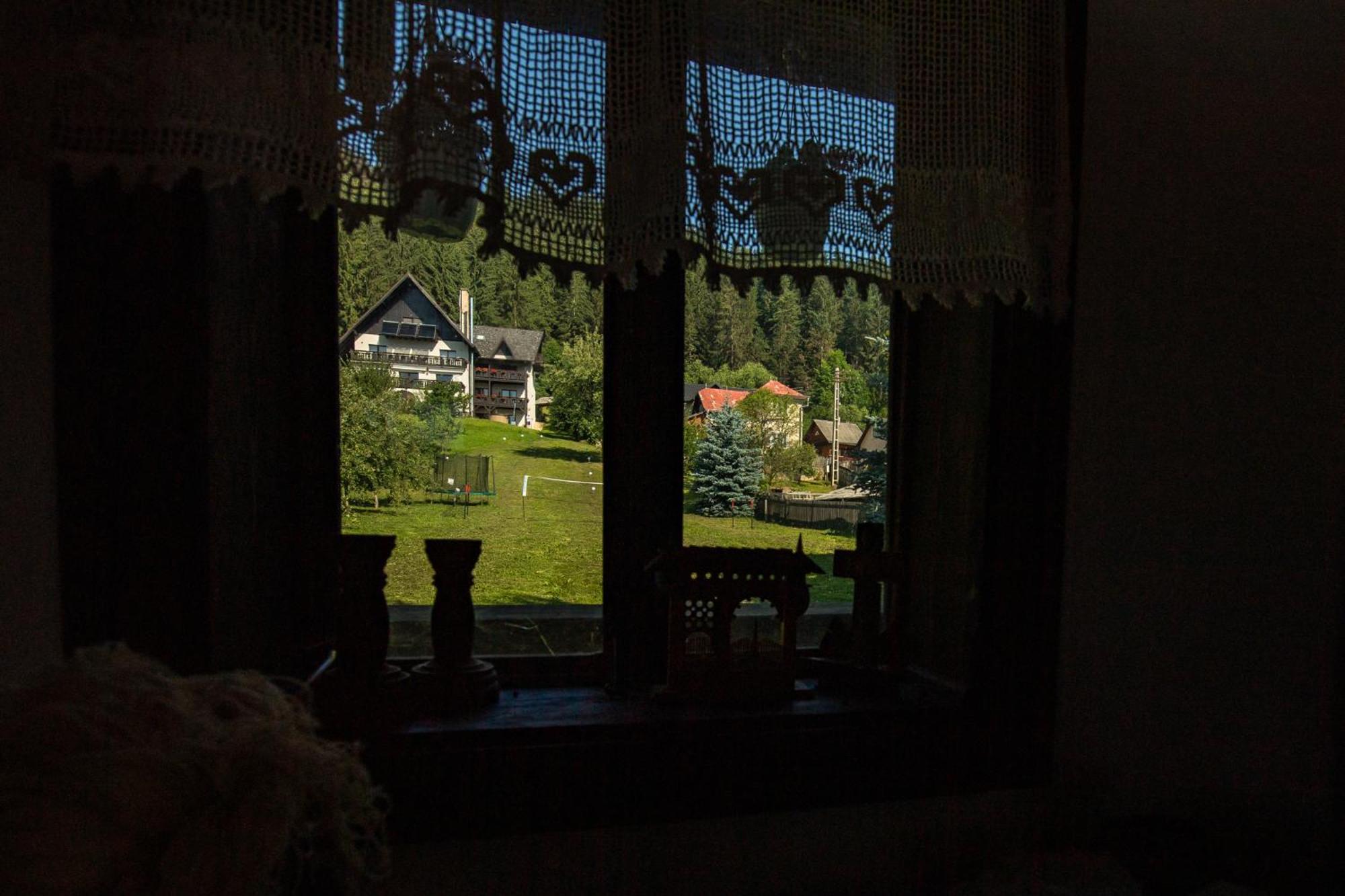 Bucovina Lodge Pension バマ エクステリア 写真