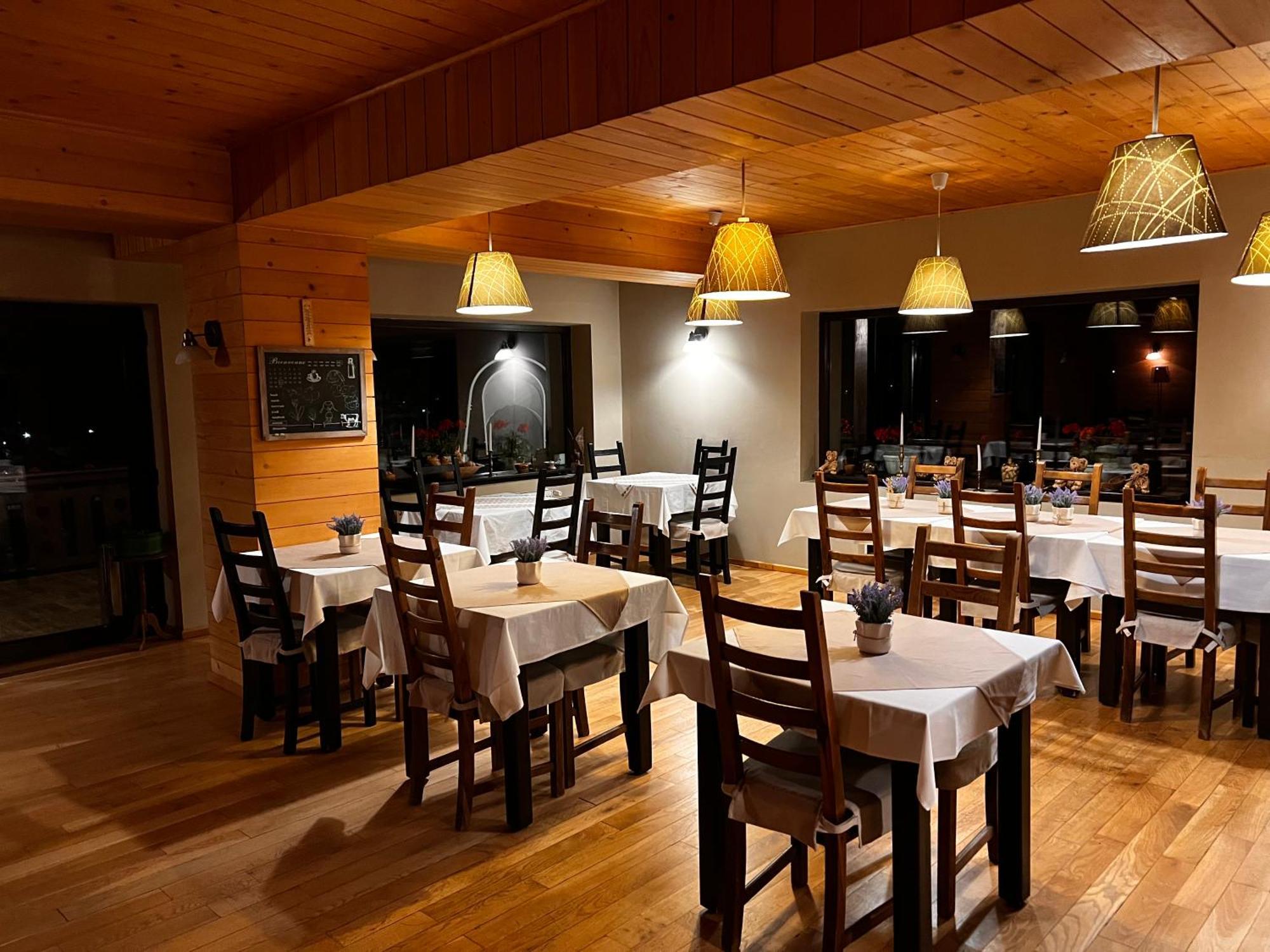 Bucovina Lodge Pension バマ エクステリア 写真