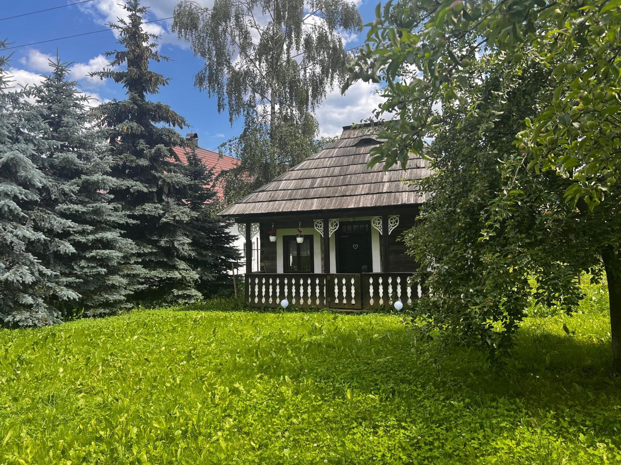 Bucovina Lodge Pension バマ エクステリア 写真